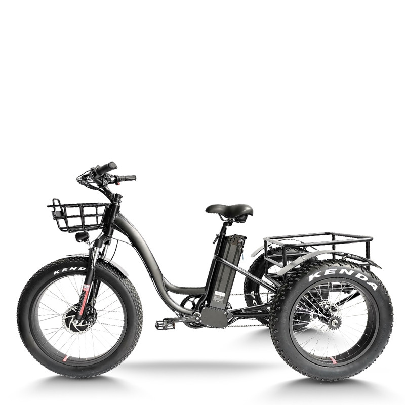 Fat Tire Dual 500W, 48V cargo e-tricycle OEM B2B Wholesale Smooth Ride & High-Capacity Options