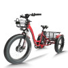 Fat Tire Dual 500W, 48V cargo e-tricycle OEM B2B Wholesale Smooth Ride & High-Capacity Options