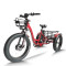 Fat Tire Dual 500W, 48V cargo e-tricycle OEM B2B Wholesale Smooth Ride & High-Capacity Options