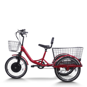 Dual Basket Padded Seat 350W 48V cargo e-tricycle OEM B2B Wholesale Reliable High-Capacity Transport