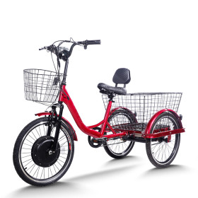 Dual Basket Padded Seat 350W 48V cargo e-tricycle OEM B2B Wholesale Reliable High-Capacity Transport