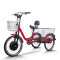 Dual Basket Padded Seat 350W 48V cargo e-tricycle OEM B2B Wholesale Reliable High-Capacity Transport