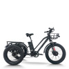 Fat Tire Dual Basket 750W 48V cargo e-tricycle All-Terrain Cargo OEM B2B Wholesale