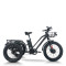 Fat Tire Dual Basket 750W 48V cargo e-tricycle All-Terrain Cargo OEM B2B Wholesale