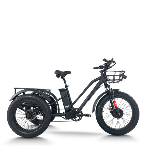 Fat Tire Dual Basket 750W 48V cargo e-tricycle All-Terrain Cargo OEM B2B Wholesale