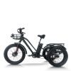 Fat Tire Dual Basket 750W 48V cargo e-tricycle All-Terrain Cargo OEM B2B Wholesale