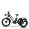 Fat Tire Dual Basket 750W 48V cargo e-tricycle All-Terrain Cargo OEM B2B Wholesale