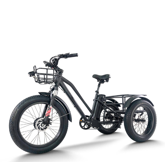 Fat Tire Dual Basket 750W 48V cargo e-tricycle All-Terrain Cargo OEM B2B Wholesale