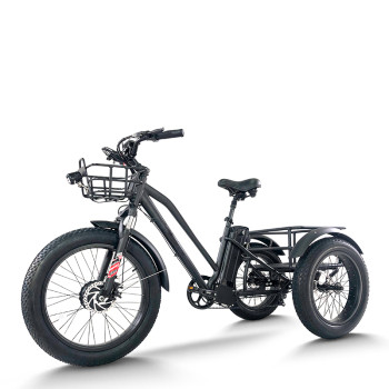 Fat Tire Dual Basket 750W 48V cargo e-tricycle All-Terrain Cargo OEM B2B Wholesale