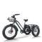 Fat Tire Dual Basket 750W 48V cargo e-tricycle All-Terrain Cargo OEM B2B Wholesale