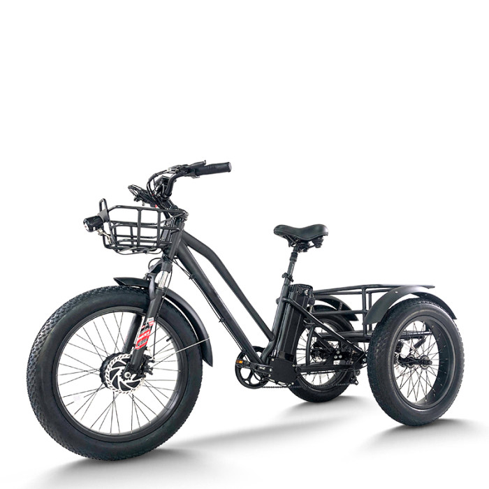 Fat Tire Dual Basket 750W 48V cargo e-tricycle All-Terrain Cargo OEM B2B Wholesale