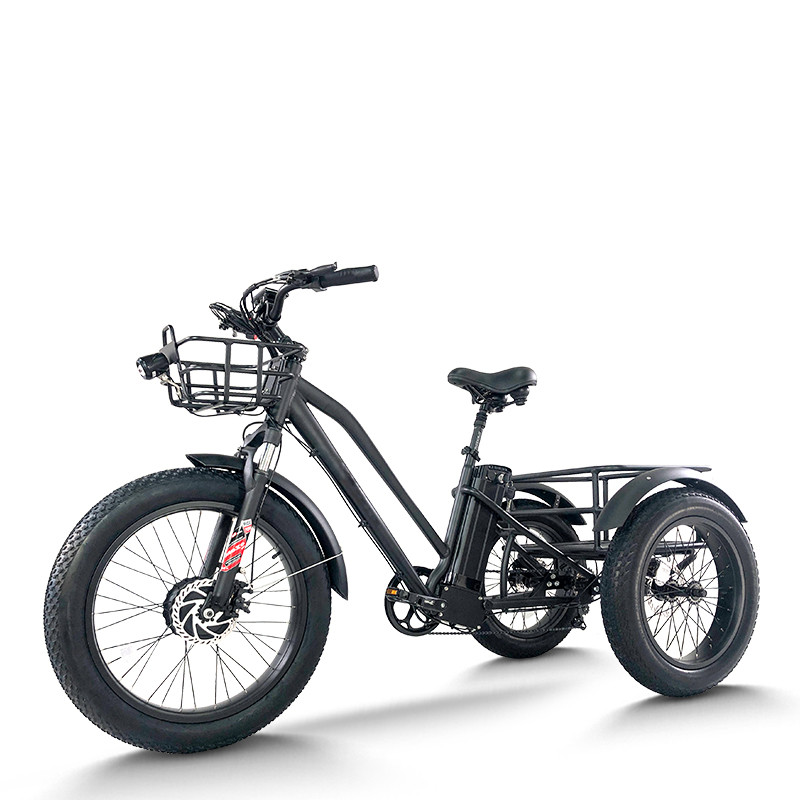 Fat Tire Dual Basket 750W 48V cargo e-tricycle All-Terrain Cargo OEM B2B Wholesale