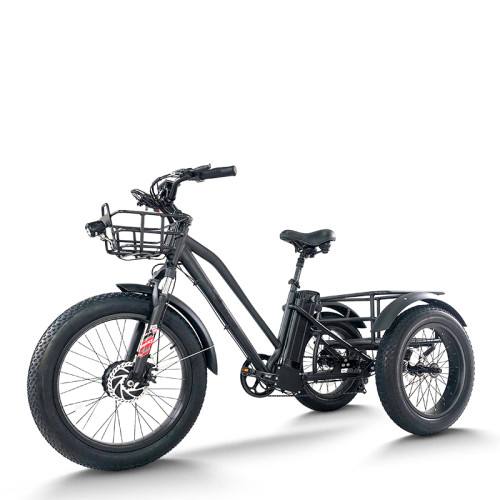 Fat Tire Dual Basket 750W 48V cargo e-tricycle All-Terrain Cargo OEM B2B Wholesale