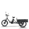 500W 48V delivery e-tricycle OEM B2B Wholesale High Capacity & Custom Battery Options