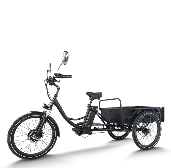 500W 48V delivery e-tricycle OEM B2B Wholesale High Capacity & Custom Battery Options