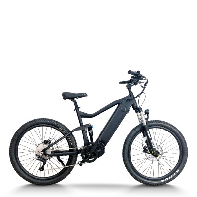 Fat Tire & Dual Suspension 750W-1000W BLDC 48V mountain e-bike OEM B2B Wholesale