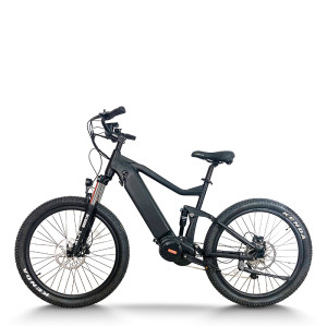 Fat Tire & Dual Suspension 750W-1000W BLDC 48V mountain e-bike OEM B2B Wholesale