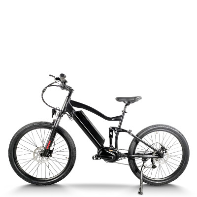 mountain e bike | off road ebikes | mountain electric bike AEB33