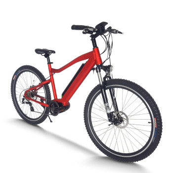 ELECTRIC Mountain E-Bike | 350W mid motor  AEB32 | OEM ODM Wholesale
