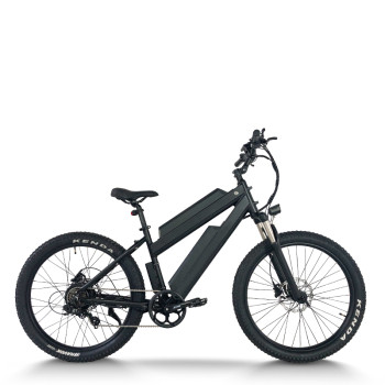 Fat Tire long range ebike | Dual Battery e mountain bike AEB28X