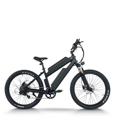 Dual Battery 350W-500W Hub 2*48V commuter e-bike OEM B2B Wholesale Extended Mileage & Power Options