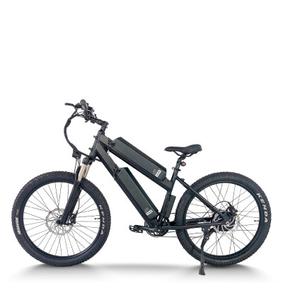 Fat Tire long range ebike | Dual Battery e mountain bike AEB28X
