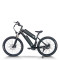 Fat Tire long range ebike | Dual Battery e mountain bike AEB28X