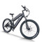 Fat Tire long range ebike | Dual Battery e mountain bike AEB28X