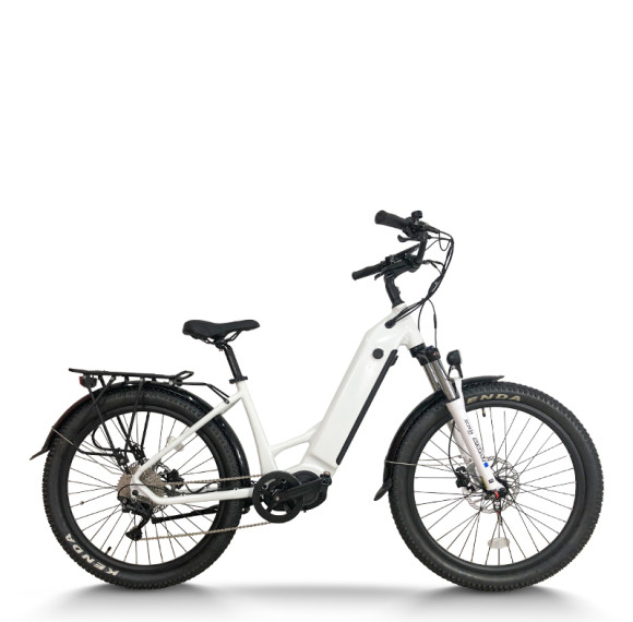 Hidden Battery & Fat Tire 250W-1000W Mid-Drive 48V city E-bike & Trail OEM B2B Wholesale