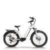 Hidden Battery & Fat Tire 250W-1000W Mid-Drive 48V city E-bike & Trail OEM B2B Wholesale