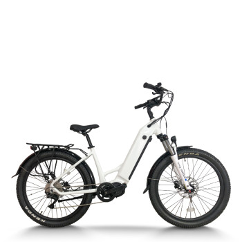 Hidden Battery & Fat Tire 250W-1000W Mid-Drive 48V city E-bike & Trail OEM B2B Wholesale