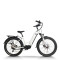 Hidden Battery & Fat Tire 250W-1000W Mid-Drive 48V city E-bike & Trail OEM B2B Wholesale