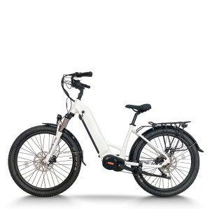 Hidden Battery & Fat Tire 250W-1000W Mid-Drive 48V city E-bike & Trail OEM B2B Wholesale