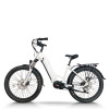 Hidden Battery & Fat Tire 250W-1000W Mid-Drive 48V city E-bike & Trail OEM B2B Wholesale