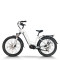 Hidden Battery & Fat Tire 250W-1000W Mid-Drive 48V city E-bike & Trail OEM B2B Wholesale