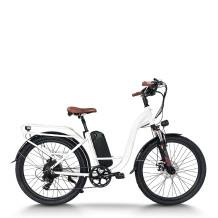 Easy Access & Powerful 500W-750W BLDC 48V city E-bike Urban Commute & Leisure OEM B2B Wholesale