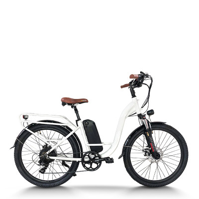 Easy Access & Powerful 500W-750W BLDC 48V city E-bike Urban Commute & Leisure OEM B2B Wholesale