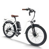 Easy Access & Powerful 500W-750W BLDC 48V city E-bike Urban Commute & Leisure OEM B2B Wholesale