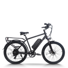 500W-1000W BLDC 48V commuter e-bike OEM B2B Wholesale Custom Battery & Motor Options