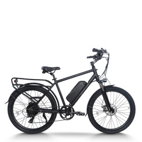 500W-1000W BLDC 48V commuter e-bike OEM B2B Wholesale Custom Battery & Motor Options