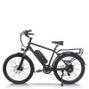 500W-1000W BLDC 48V commuter e-bike OEM B2B Wholesale Custom Battery & Motor Options