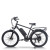 500W-1000W BLDC 48V commuter e-bike OEM B2B Wholesale Custom Battery & Motor Options