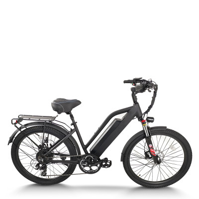 250W-500W 48V step thru e-bike Daily Commute & OEM Custom B2B Wholesale Flexible Battery Options