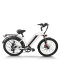 250W-500W 48V step thru e-bike Daily Commute & OEM Custom B2B Wholesale Flexible Battery Options