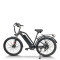250W-500W 48V step thru e-bike Daily Commute & OEM Custom B2B Wholesale Flexible Battery Options