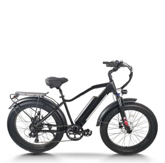 Fat Tire Mountain E-bike Wide Seat Pull-Up Battery 250W-500W Motor 48V Battery 20mph Max OEM/ODM