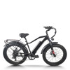 Fat Tire Mountain E-bike Wide Seat Pull-Up Battery 250W-500W Motor 48V Battery 20mph Max OEM/ODM