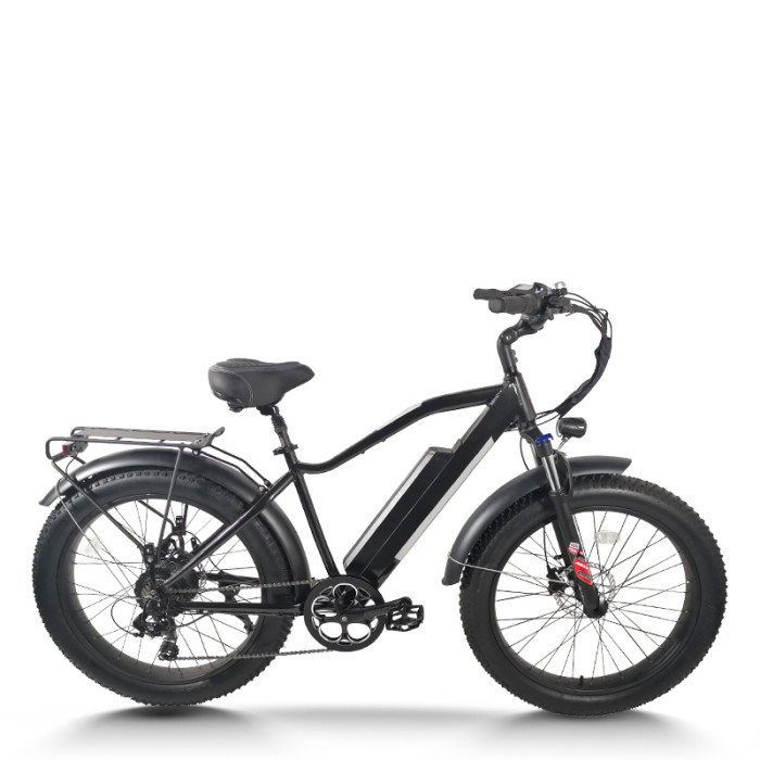 Fat Tire Mountain E-bike Wide Seat Pull-Up Battery 250W-500W Motor 48V Battery 20mph Max OEM/ODM