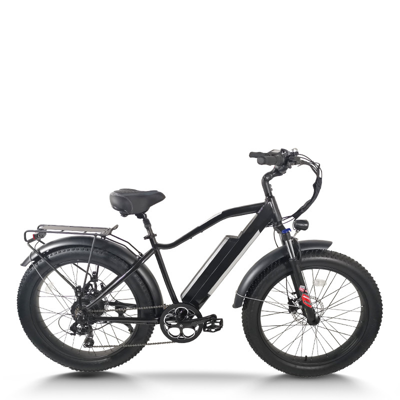 Fat Tire Mountain E-bike Wide Seat Pull-Up Battery 250W-500W Motor 48V Battery 20mph Max OEM/ODM