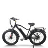 Fat Tire Mountain E-bike Wide Seat Pull-Up Battery 250W-500W Motor 48V Battery 20mph Max OEM/ODM